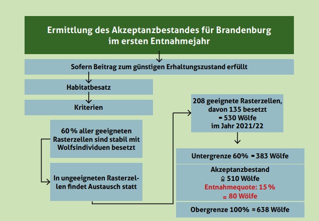 Berechnung des Akzeptanzbestandes für Brandenburg